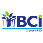 Logo BCI NC